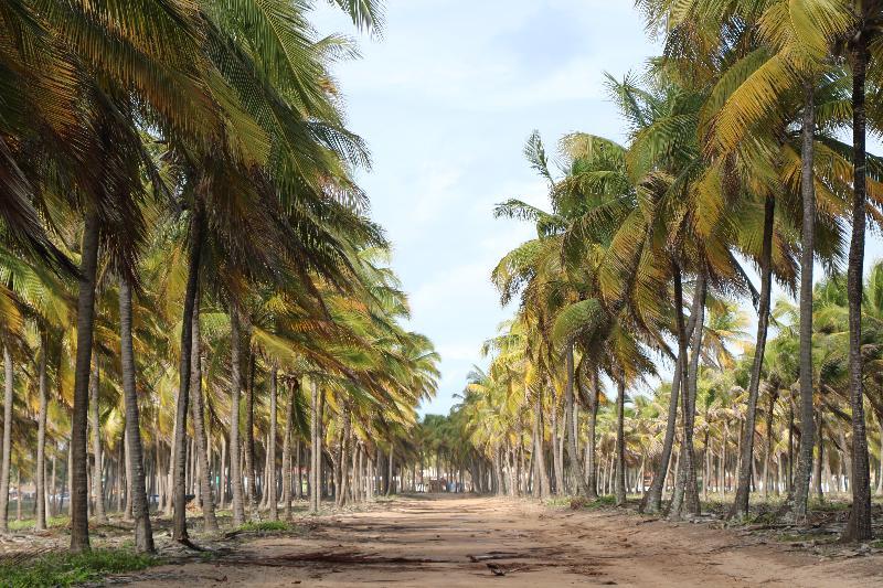 Pousada Quatro Estacoes Pôrto das Galinhas Esterno foto